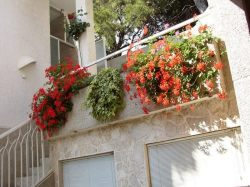 Appartements Mimosa Vodice