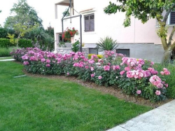 Appartements Martina Zaton (Zadar)