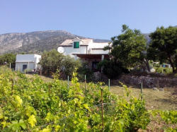 Maison de vacances Ana Bol (Ile Brac)