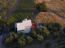 Maison de vacances Ana Bol (Ile Brac)