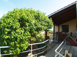 Maison de vacances AXA Kukljica (Ile Ugljan)