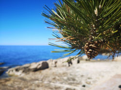Maison de vacances West Coast Mobilhomes Tar