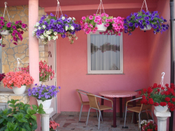 Maison de vacances Apartmani Brekalo-Bonaca Vir (Ile Vir)