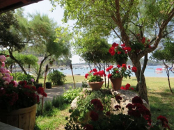 Villa Tamaris Palit (Ile Rab)